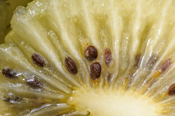 An extreme close-up of black kiwi seeds nestled within the golden, fibrous pulp, highlighting the fruit’s unique texture and natural patterns. Perfect for food, health, and organic lifestyle visuals.