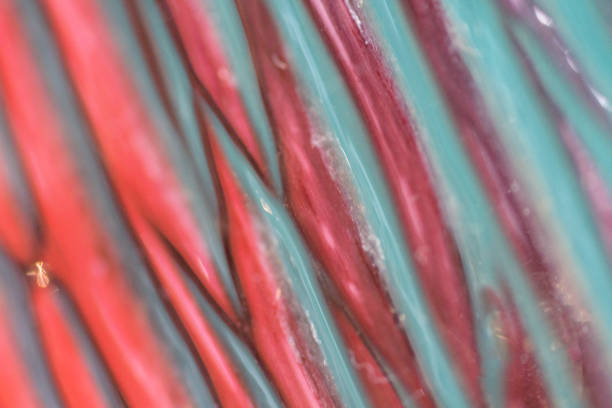 A high contrast, dreamy, fantasy abstract background blending blue and magenta, pink hues shining glass. Ideal for creative projects, design elements, and backgrounds needing a futuristic, colorful feel.