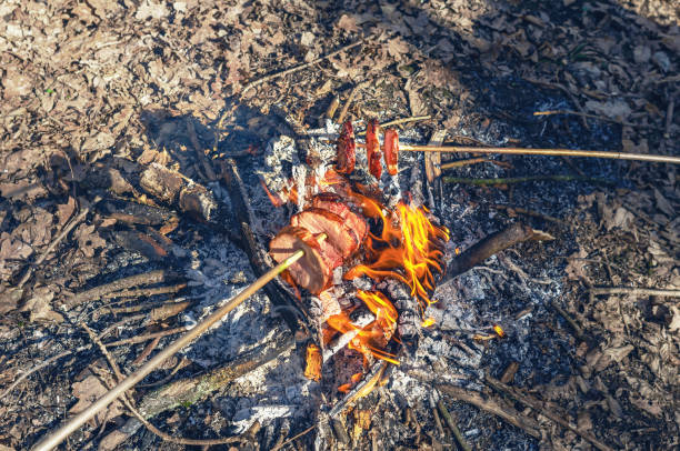Meat and sausages roasting on skewer on campfire in forest
