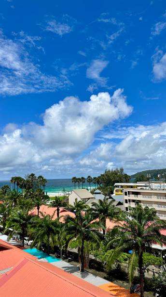 istock Coastal Town with Palm Trees and Beach 2203843055