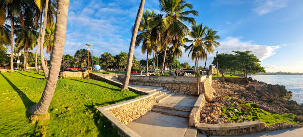 Dominican Republic, Santo Domingo, January 1, 2025, palm trees on the waterfront