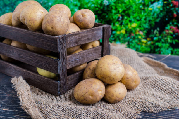 istock wooden box with potatoes 2203849297