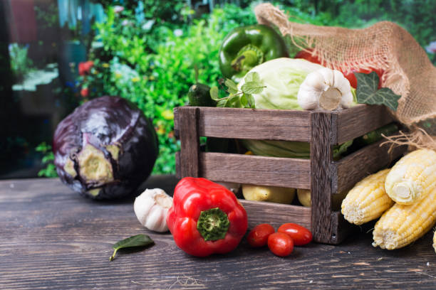Vegetables in a box in the garden on the table