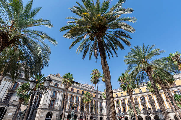 istock Placa Reial, Barcelona, Spain 2203852554