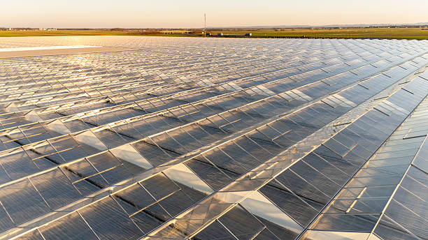 Aerial View of a Greenhouse Rooftop