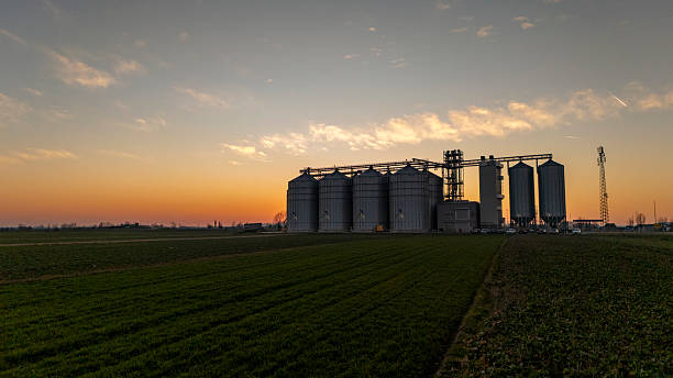 istock Green Agricultural Field with Silos in the Background 2203859791