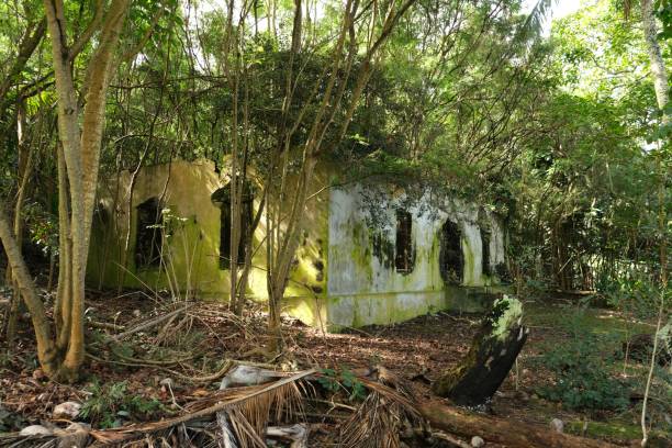 istock Large abandoned building surrounded by tropical forest 2203861641