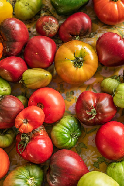 istock Colourful assortment of tomatoes and peppers on a table.. 2203867653