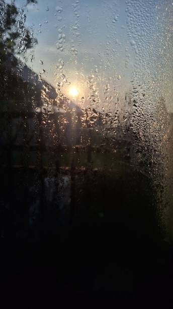 istock Morning dew is beautiful in its time 2203869360