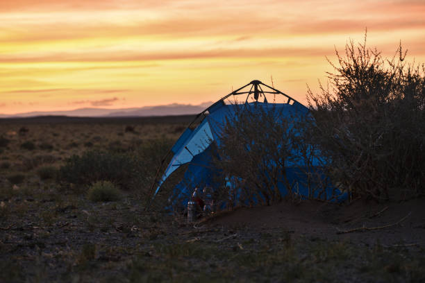 Lonely camping in wide mongolian steppe with at sunset