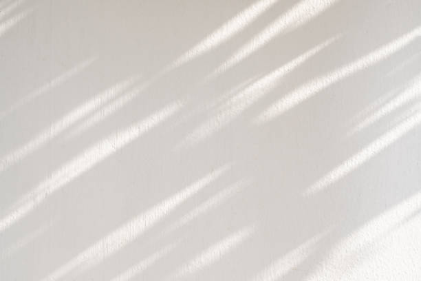 istock Abstract natural tree leaves shadow on white wall background 2203879339
