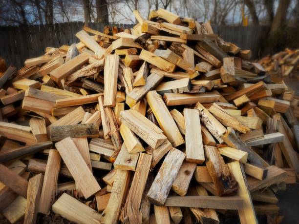 Chopped Wood in a Pile