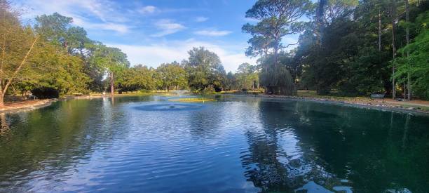 istock Serene Park Pond with Lush Greenery 2203887952