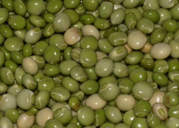 istock Freshly Picked and Shelled Pigeon Peas 2203893819