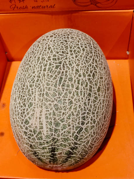 An ostrich egg-shaped melon with its skin pattern clearly visible, placed in the center on orange cardboard, taken from above