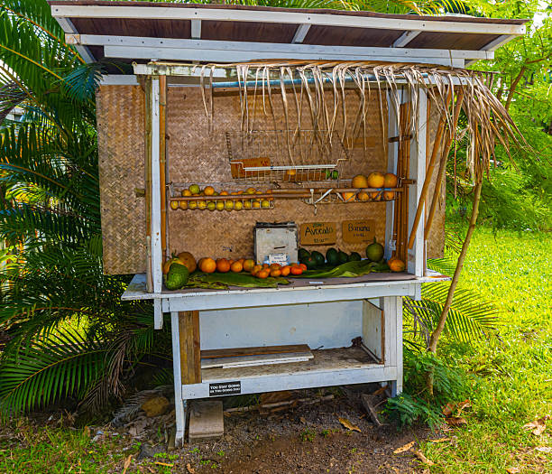 istock Roadside Fruit Stand in Hana Town 2203899584