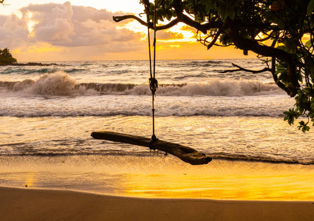 istock Tree Swing on Homoa Beach at Sunrise 2203899649