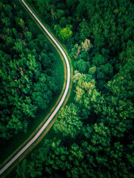 istock Wherever the path takes you 2203902940
