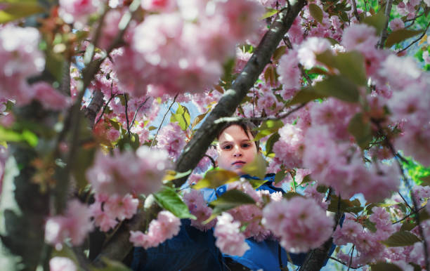 A 9-year-old boy stands among cherry blossom branches in a New Jersey park. The Caucasian child is partially obscured by pink cherry blossoms as he looks through the flowering tree. His face is visible between the branches during this spring outing. The image uses selective focus with the boy and blossoms in focus against a softer background.