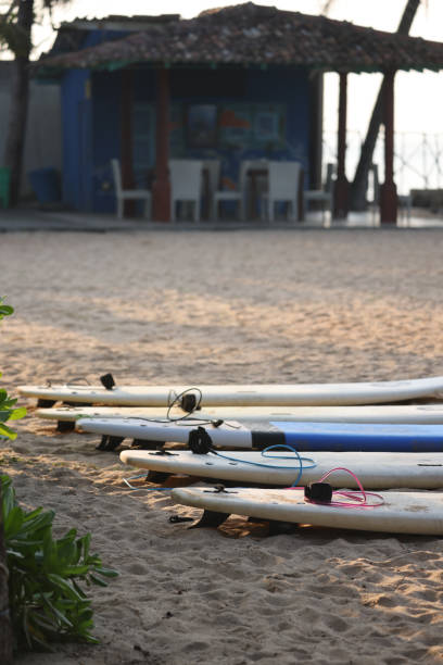istock A colorful array of surfboards artistically lined up on soft sand, creating a vibrant scene 2203907054
