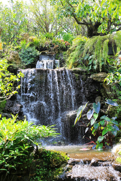 istock Small decorative waterfall in the public garden. 2203911738
