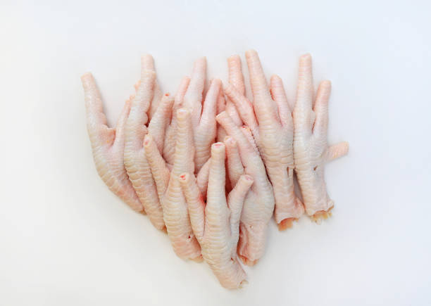 Raw chicken feet isolated on white background. Top view.
