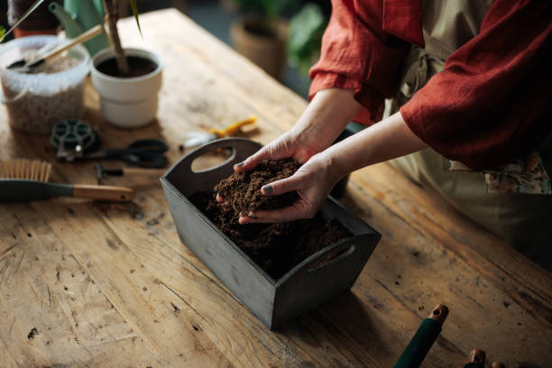 istock Gardener preparing soil for planting in wooden box 2203914211