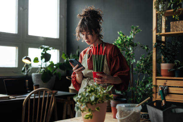 istock Florist checking her smartphone while holding a plant in her flower shop 2203914242