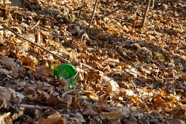 thrown away  glas bottle  in spring between old leaves in a forest in Germany Thuringia Gera in the sunlight in the afternoon, closeup, no people, ground level view,