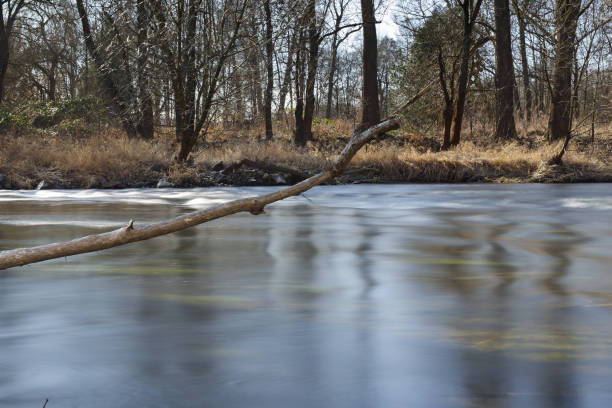 istock Riverside view landscape view at spring- first warm sunlight after Winter time in nature 2203915742