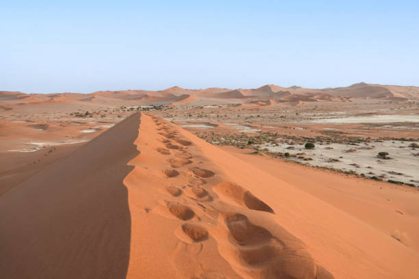 istock Landscape of Namib 2203917546