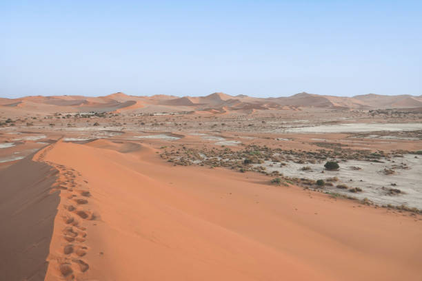 istock Landscape of Namib 2203917566