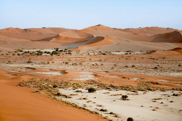 istock Landscape of Namib 2203917580