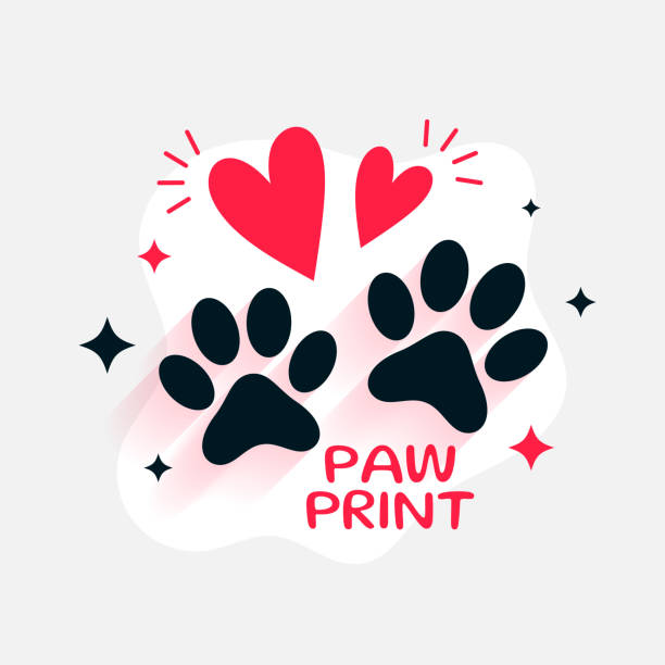 istock cute animal pow or heart print on white background 2203920362
