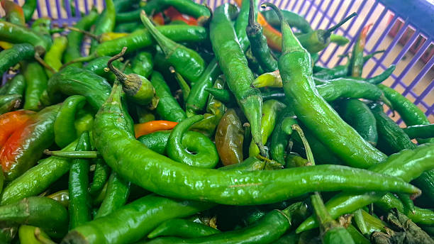 istock Vibrant Pile of Fresh Green Chilies 2203926370