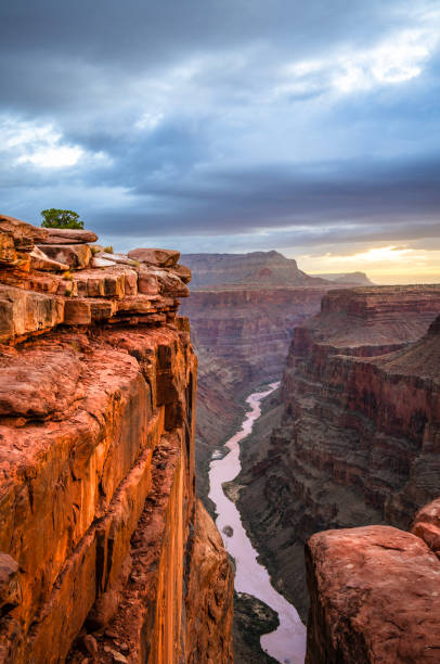 istock Grand Canyon at Toroweap Overlook 2203929251