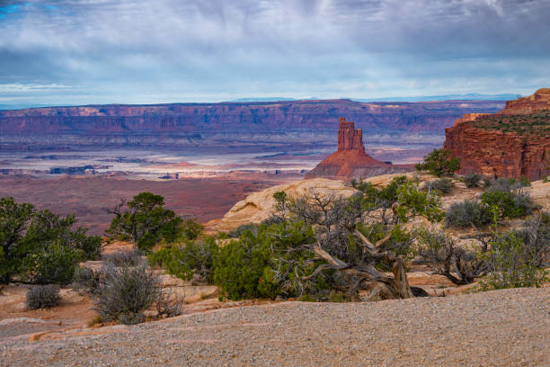 istock Canyonlands National Park desert landscape 2203929697
