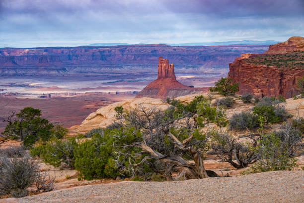 istock Canyonlands National Park desert landscape 2203929851