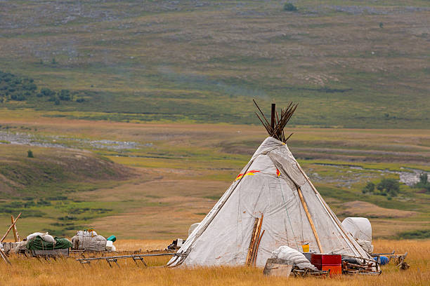 istock Nenets reindeer herders choom on a summer. Russia, Yamal 2203933224