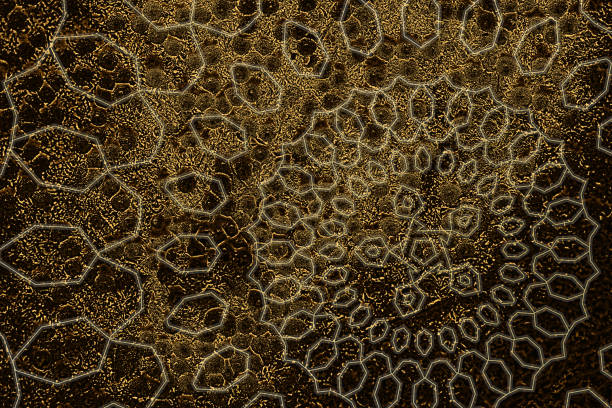 Antique gold-flecked black-brown rock surface background with white line arabesque geometric pattern based on the motif of the \