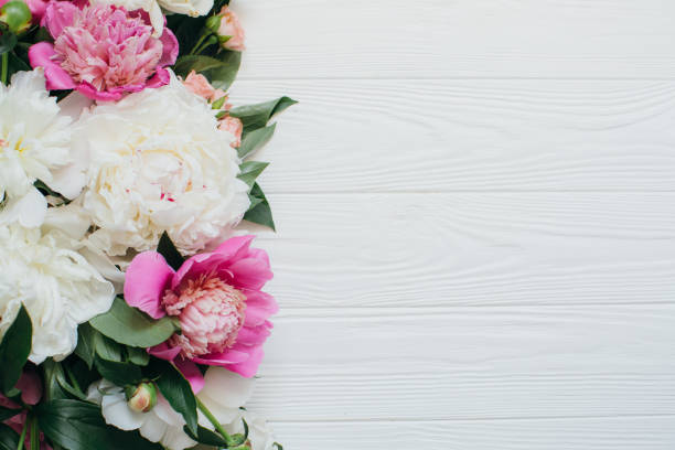 istock Pink and White Peonies Creating a Floral Border on White Wood 2203935703