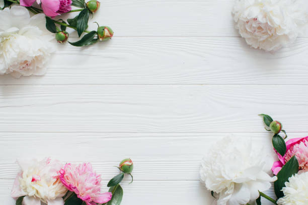 istock Pink and white peonies frame decorating white wooden planks 2203935733