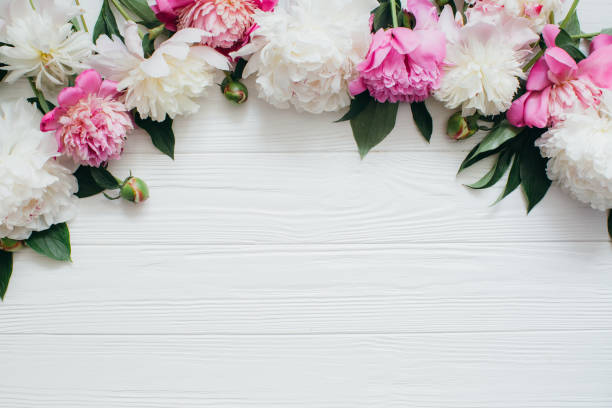 istock Pink and White Peonies Creating a Floral Border on White Wood 2203935745