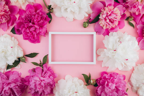istock Composition of white and pink peonies and white empty frame with copy space, beautiful floral background, fashion, glamour, flat lay 2203935932
