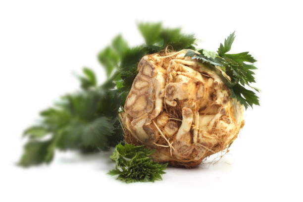 Fresh turnip-rooted celery against a white background