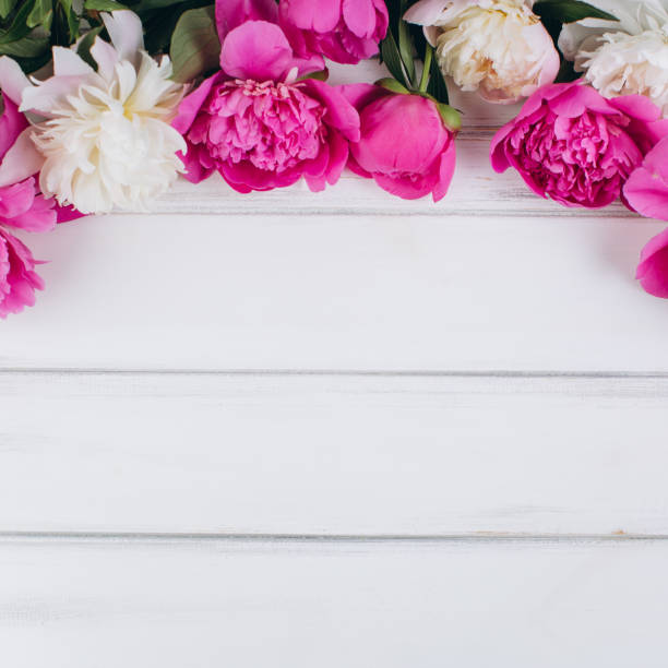 istock Pink and white peonies on a wooden background. Copy space and flat lay. 2203936761