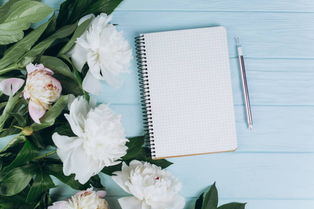 istock Pink and white peonies on a blue wooden background. Copy space and flat lay. 2203936949