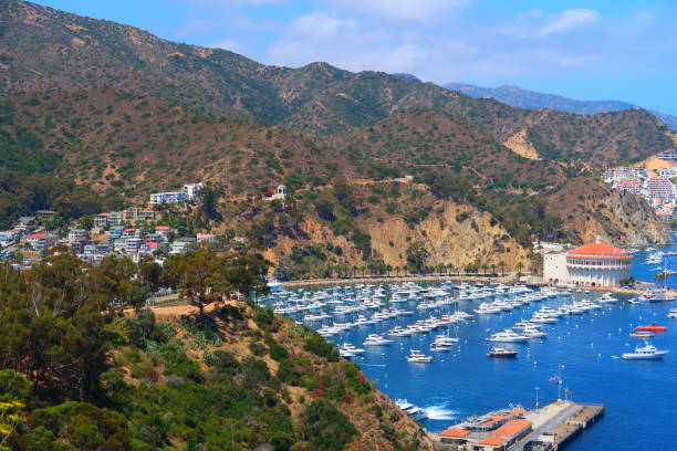 istock Catalina Island 2203937410