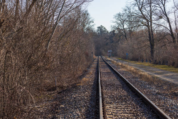 istock The tracks for the train are lined with trees. Monorail in the landscape 2203940020