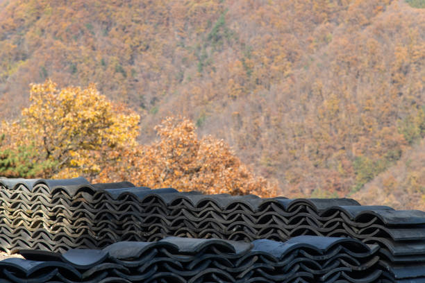 autumn landscape
